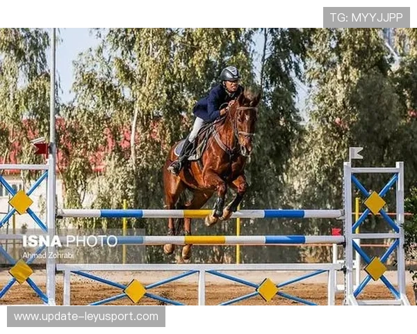 伊朗马术协会与欧洲马术协会签署合作协议，共同举办国际赛事。