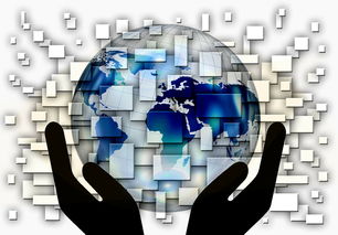 乐鱼体育网址-中国篮球教练员战术创新与应用案例分析，篮球教练基本战术