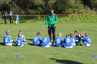 乐鱼体育平台-中国篮球教练员战术创新能力培养及培训机制研究，全国篮球教练员岗位培训