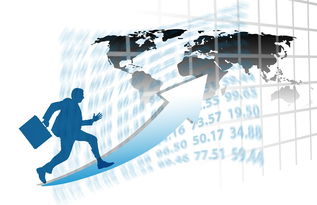 leyu-中国篮球职业俱乐部财务管理与运营效益分析，篮球俱乐部收入