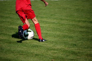 leyu中国-篮球运动员心理韧性培养体系建设，篮球运动员心理韧性培养体系建设方案