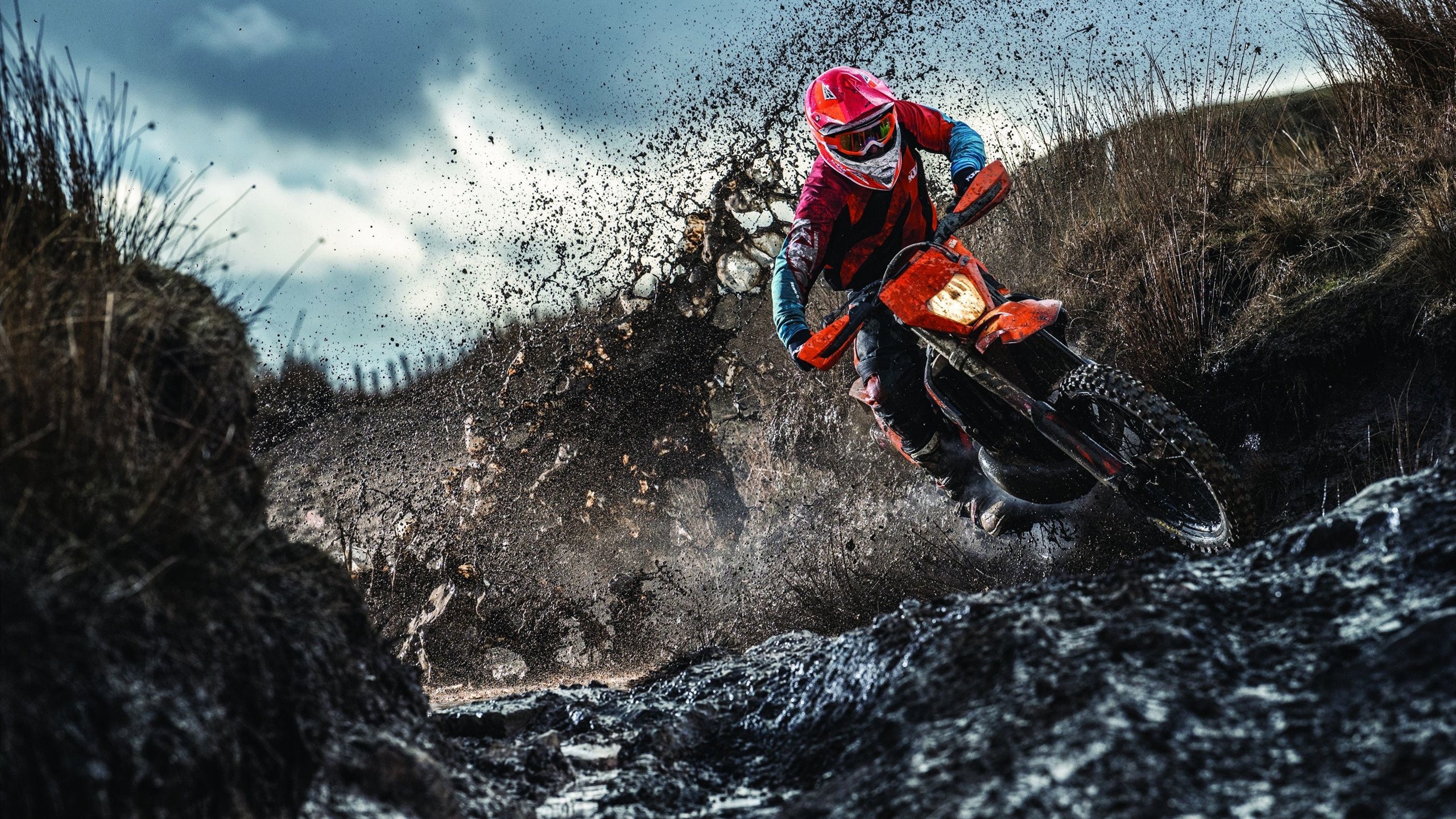 张伟丽公布新训练计划提升力量，张伟丽训练照片